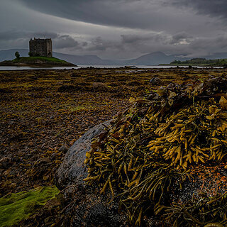 Castle Stalker